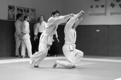 Photo-11-12-2017-21-51-11